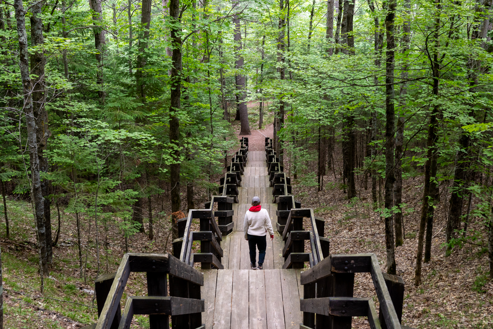 Steps from the Observation Tower trail