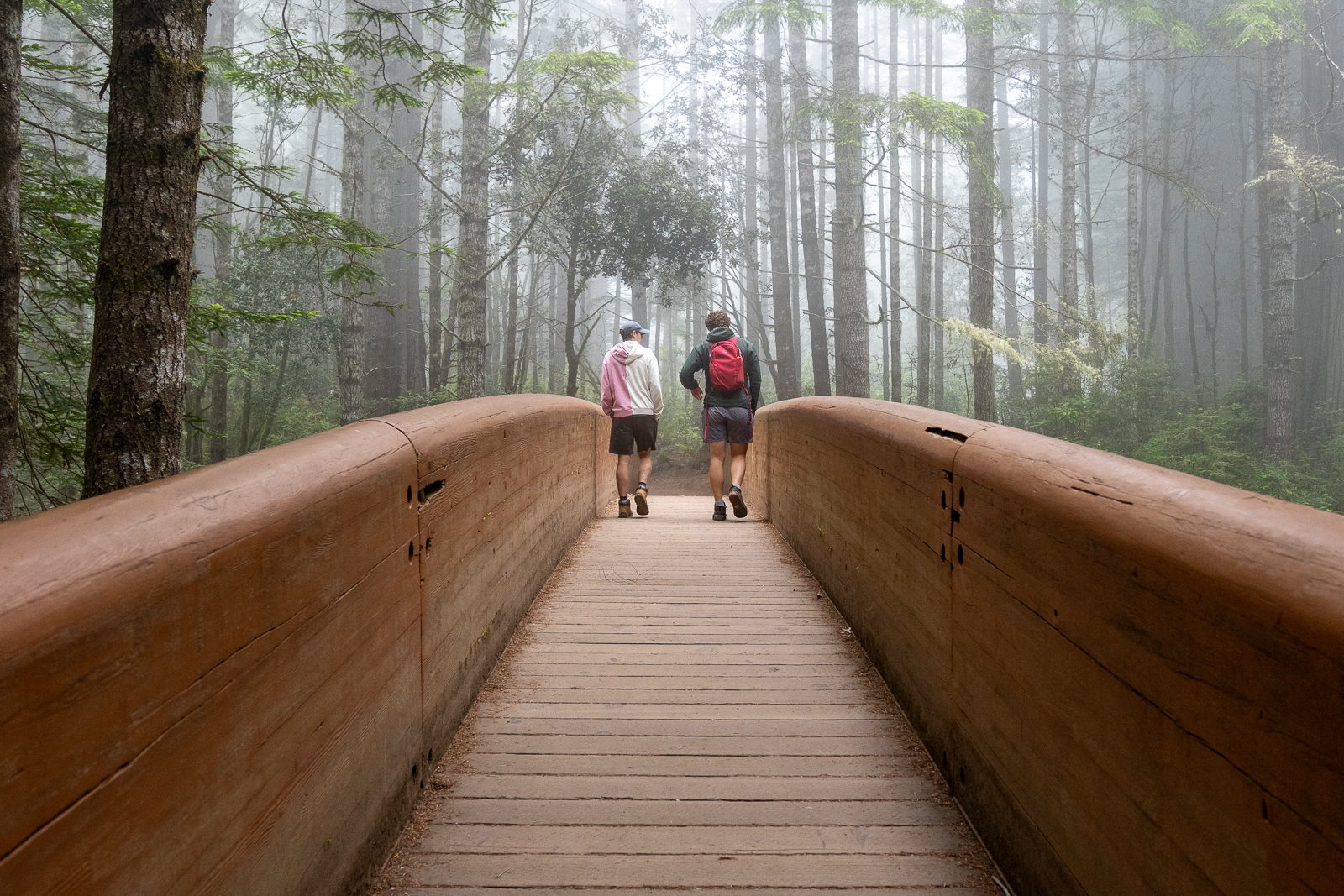 Hiking in the Lady Bird Johnson Grove amongst the redwoods