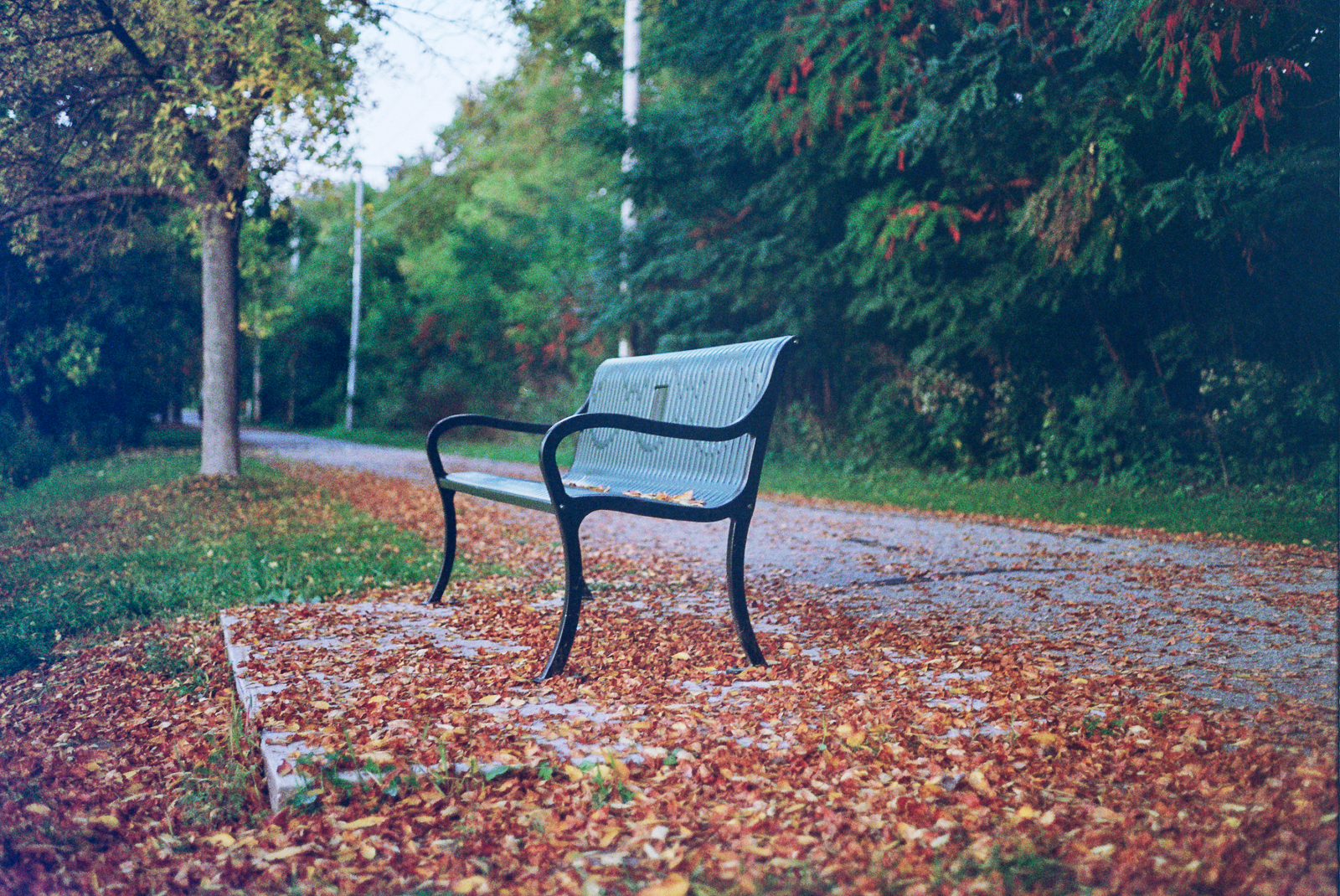 Bench in a Fall Sunset